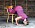 Mia Rodhborn visar träna hemma-övningen armhävning från stol