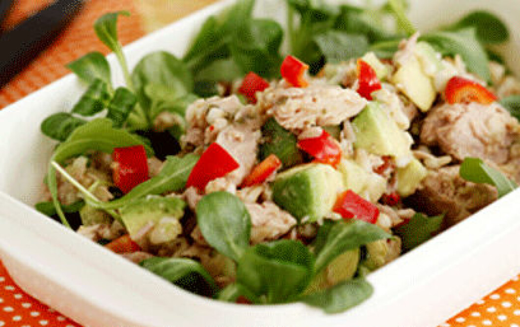 Tonfisksallad med mynta. Tonfisksallad.