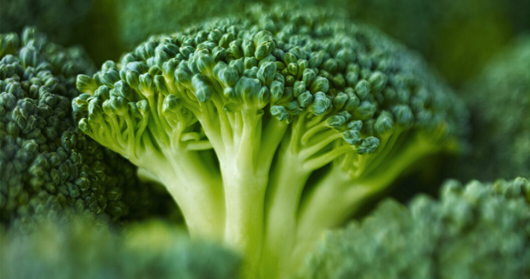 Är broccoli inte din favoritgrönsak? 