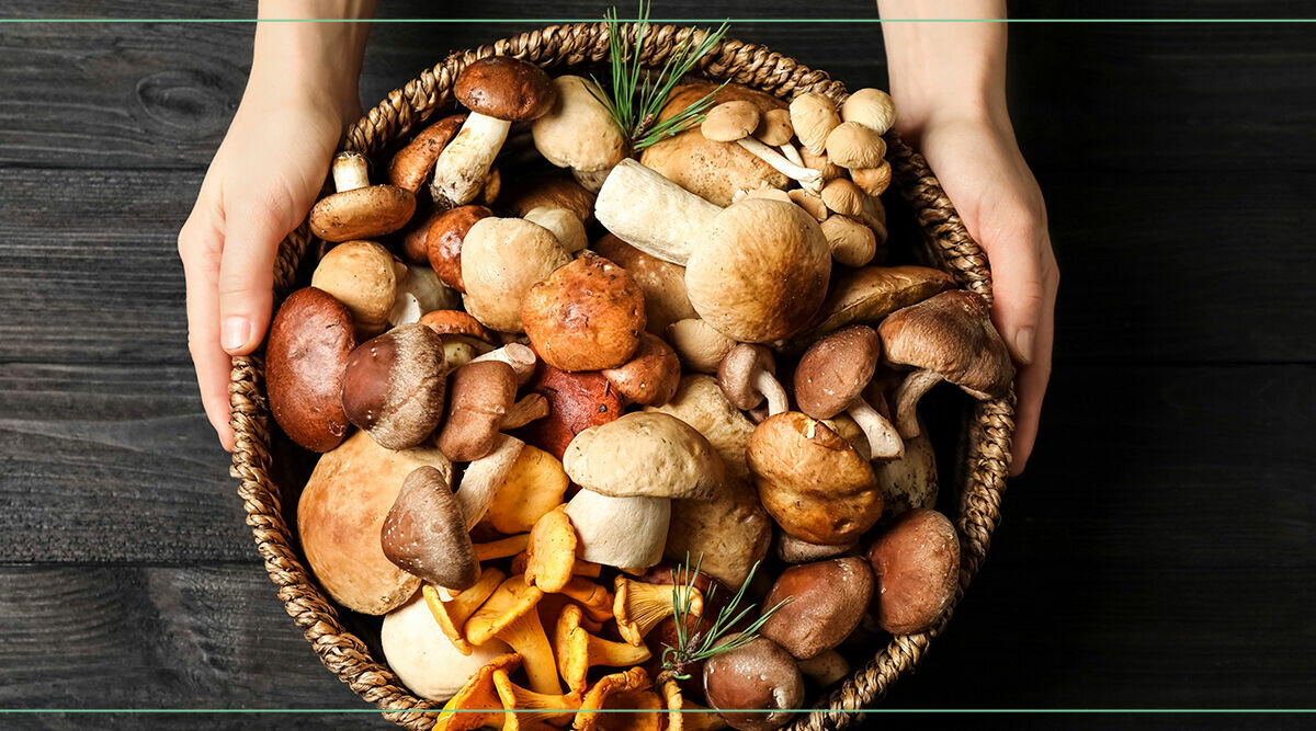 Svamp: Nu trendigare än någonsin