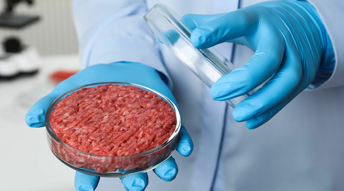 Från labb till tallrik: Odlat kött kan bli ett nyttigare alternativ