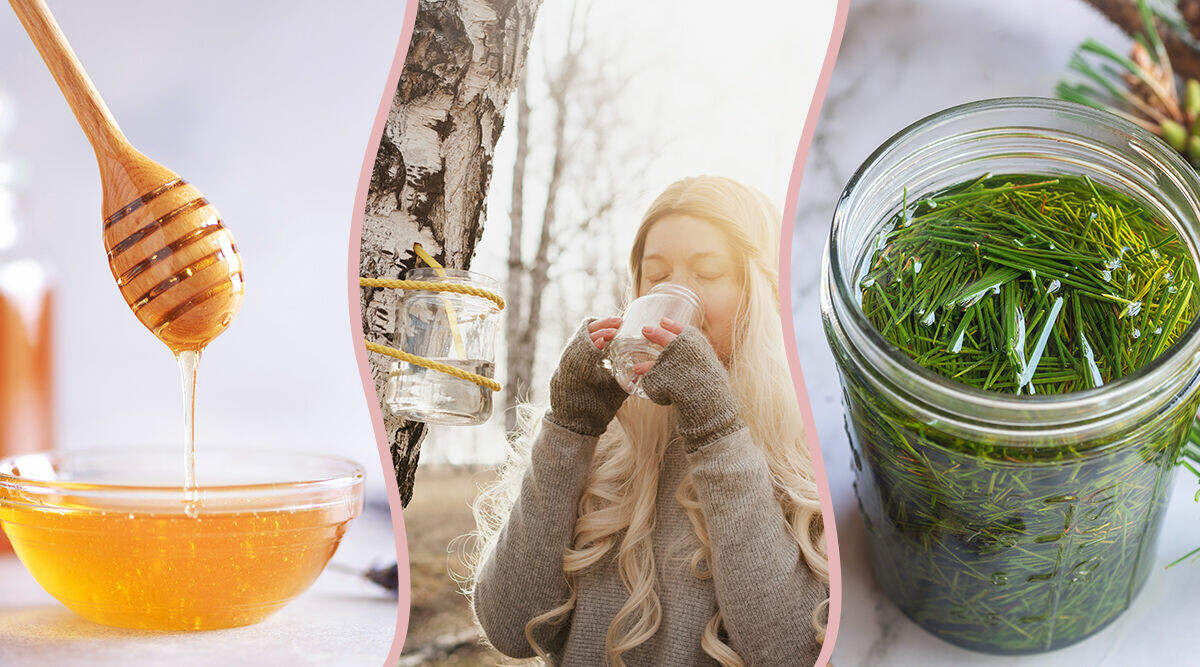 Tallbarr och björksav? Huskurer som lindrar pollenallergi – och inte