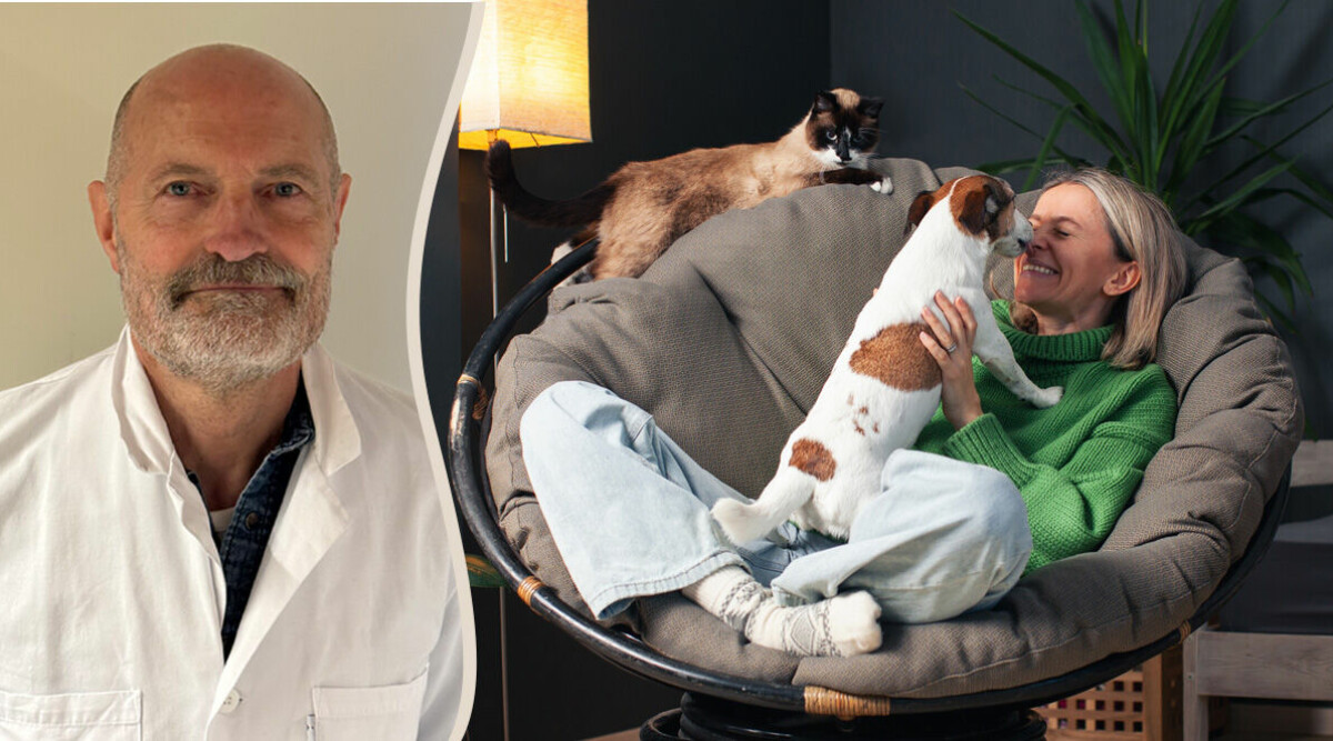 Därför är allergivänliga hundar och katter en myt