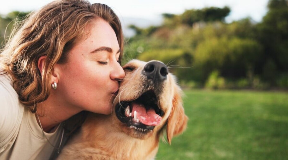 Hunden eller barnen? Expertrådet som väckte starka känslor