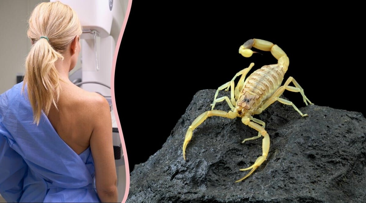 Därför väcker skorpiongift hopp i kampen mot bröstcancer