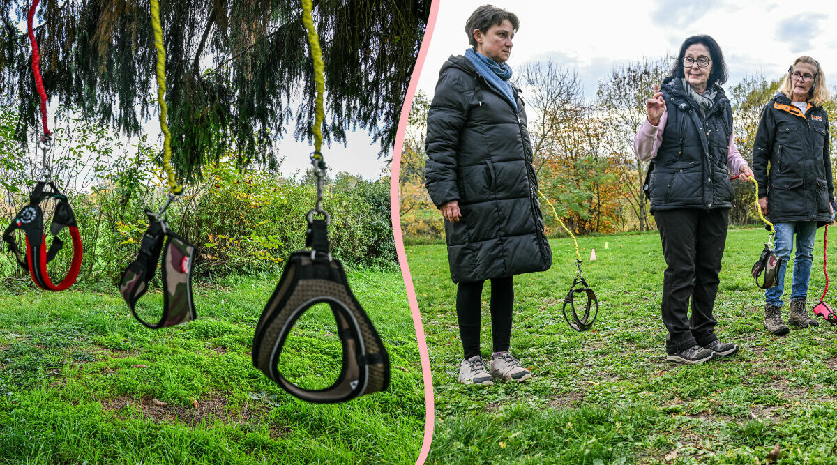 Här tränar de osynliga hundar: "Lite galet"