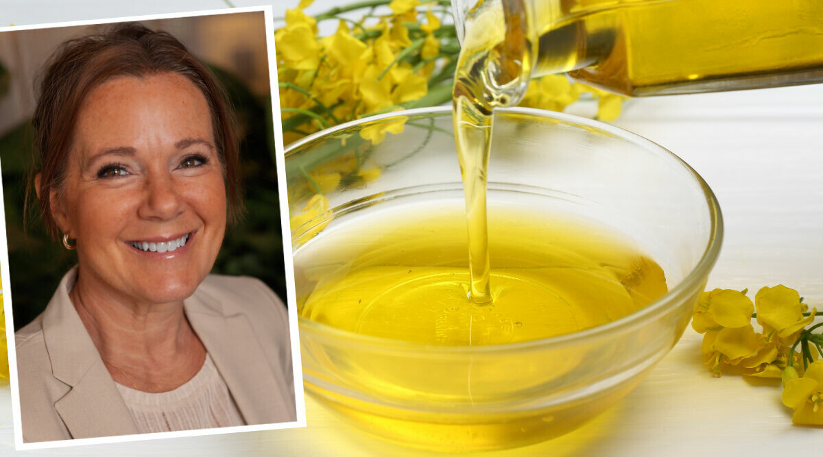 Sant eller falskt: Många menar att rapsolja är dåligt – är det så?