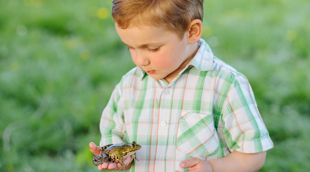 Ny studie: Naturen väcker avsky – det kan få konsekvenser
