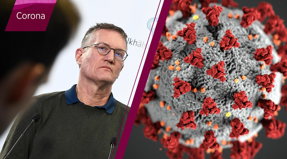 Anders Tegnell: Så kommer vi kunna resa i jul