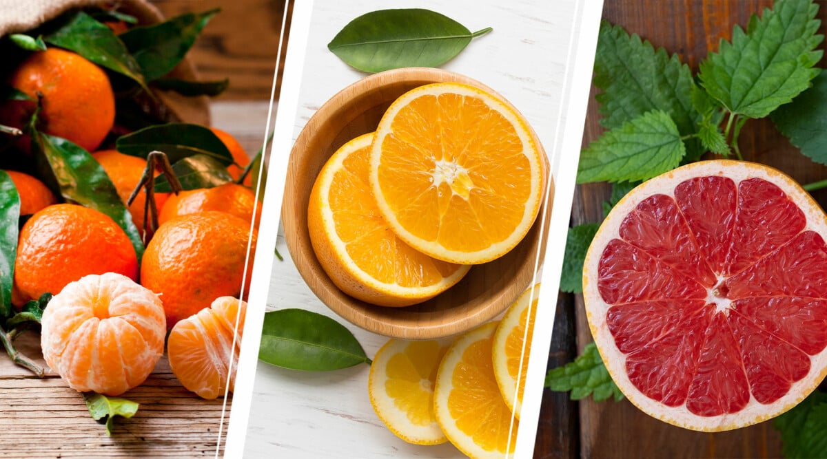 Så mycket C-vitamin finns i apelsin – jämfört med andra citrusfrukter