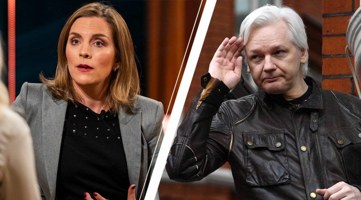 Anna Ardin om kvällen med Assange: "Det är ett pågående övergrepp"