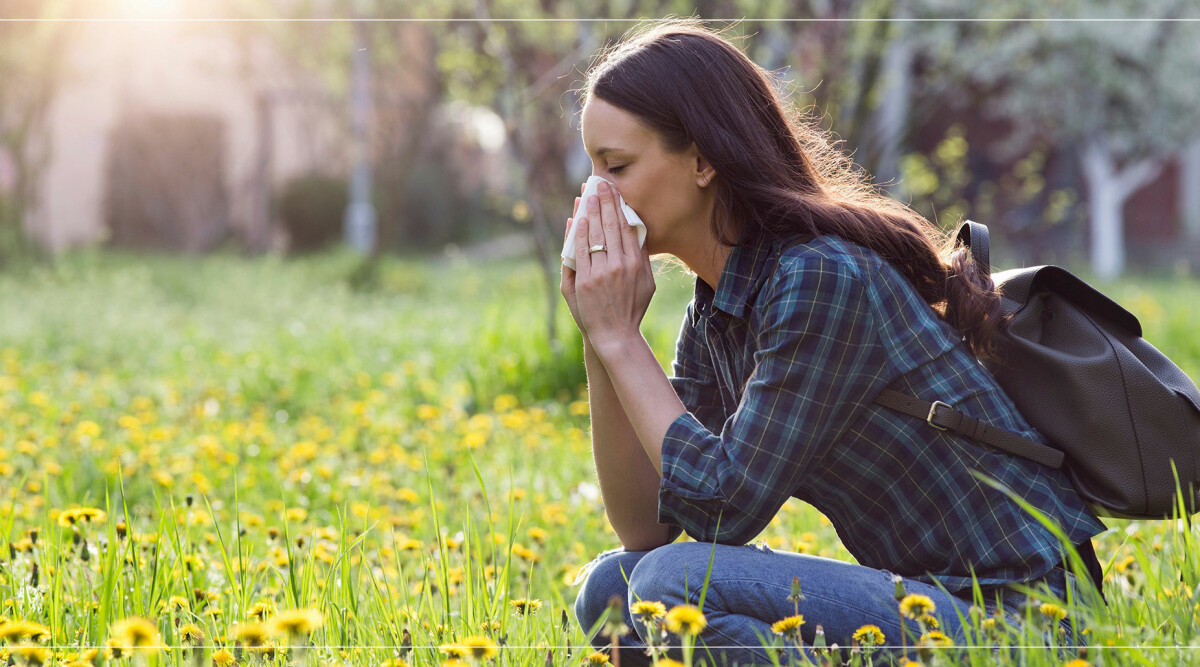 Behandling mot pollen: Nu finns ett snabbvaccin