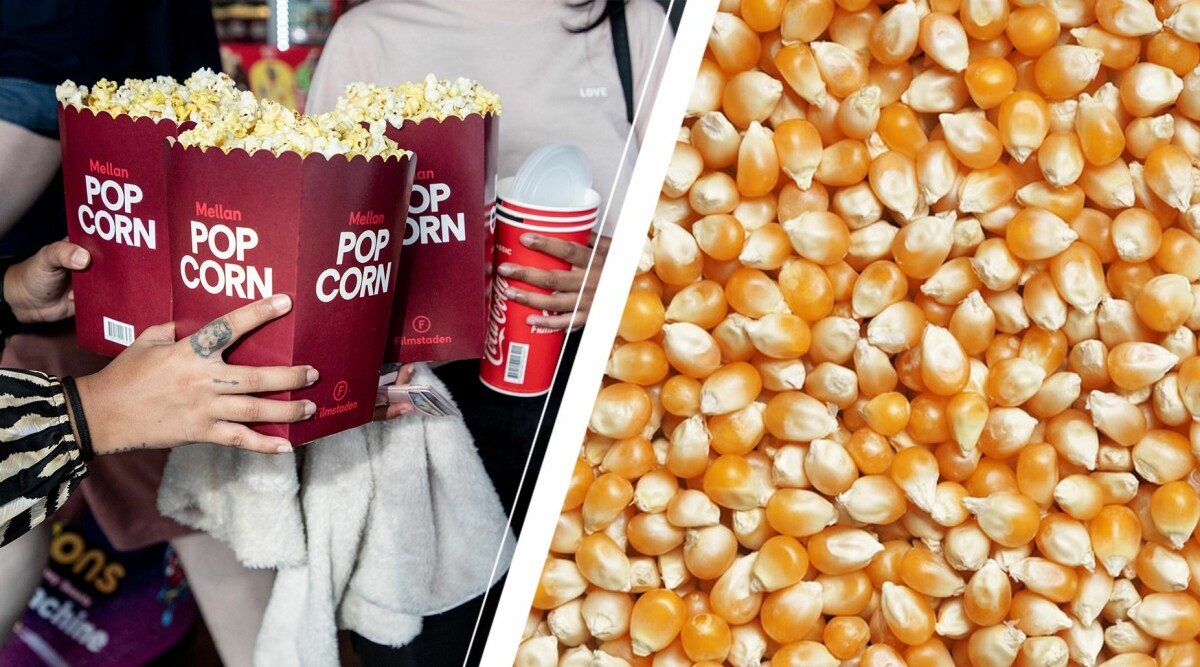 Popcorn på 5 olika sätt – så skiljer sig antalet kalorier