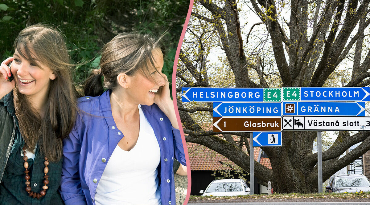 Nu kan du lära dig ny dialekt på högskola – vilken hade du valt?