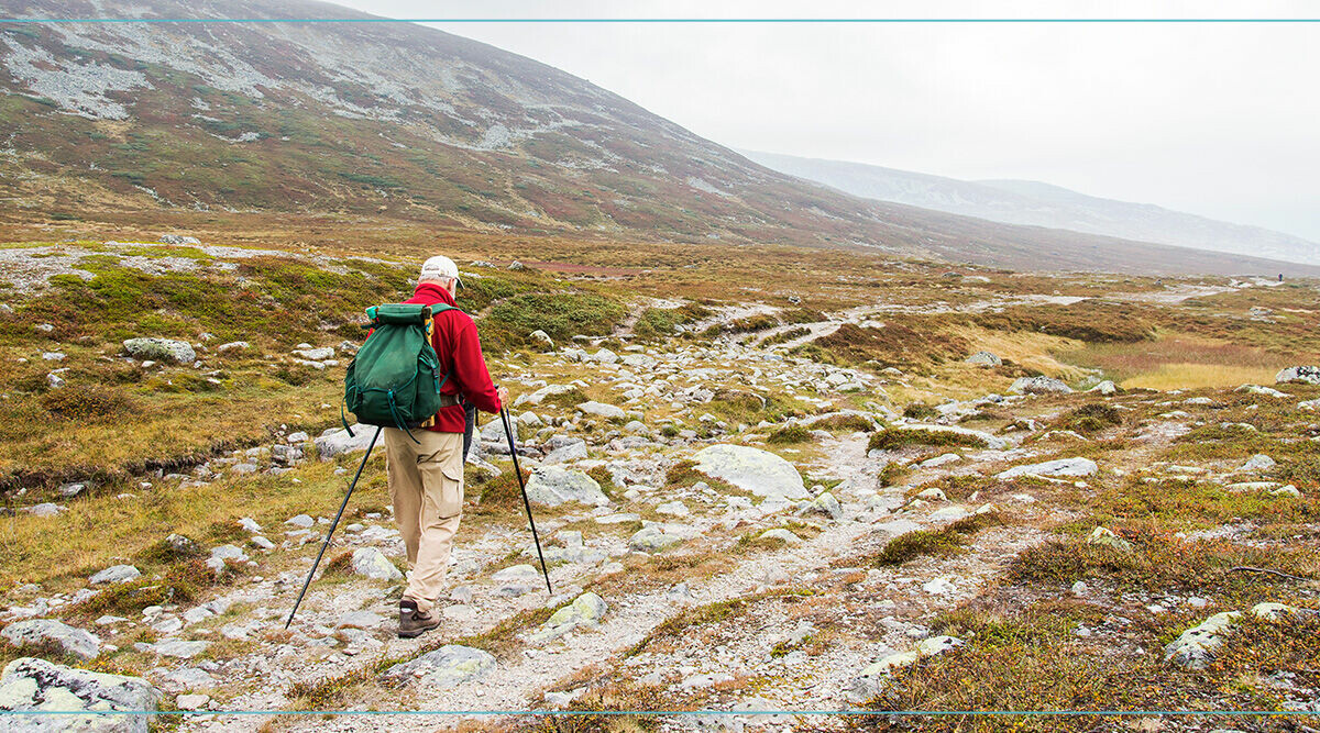 Ska vi ställa in fjällvandringen på grund av harpesten?