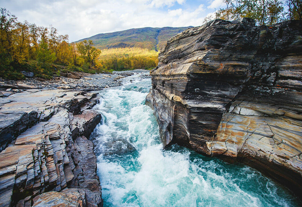 vandra i abisko