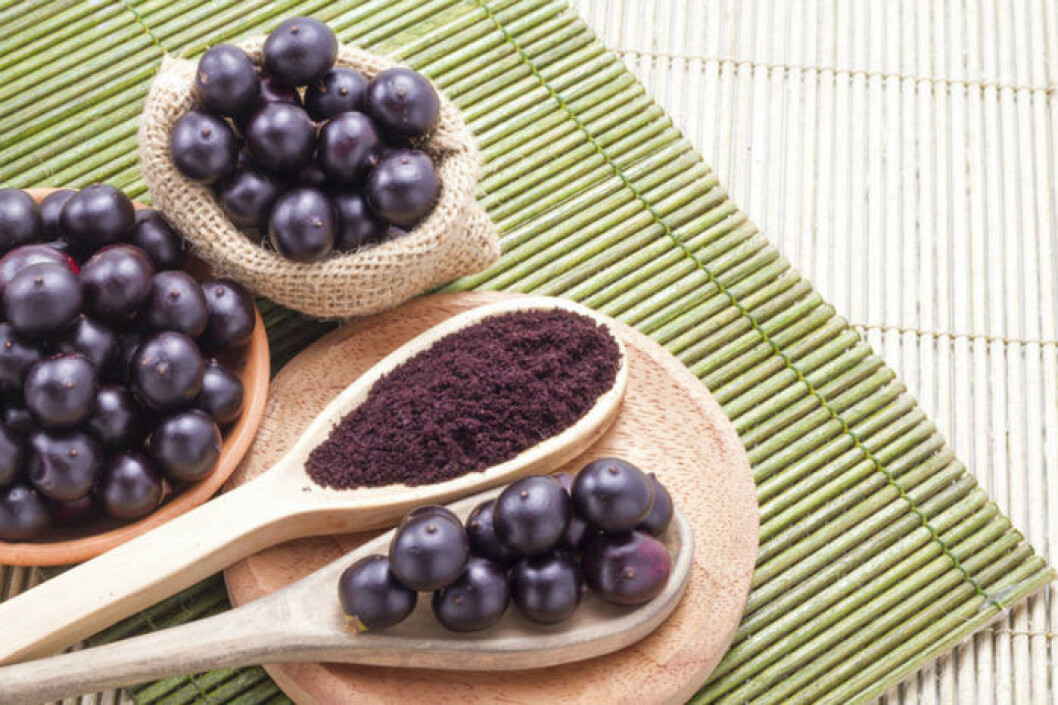 Acai-pulvret innehåller massor av antioxidanter. 