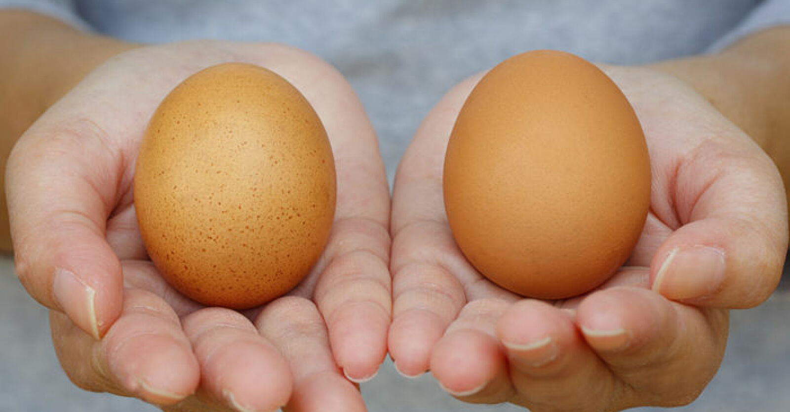 3 яйца в день можно. Всемирный день яйца. Три яйца. Яйца фото. Яйца 3 шт.