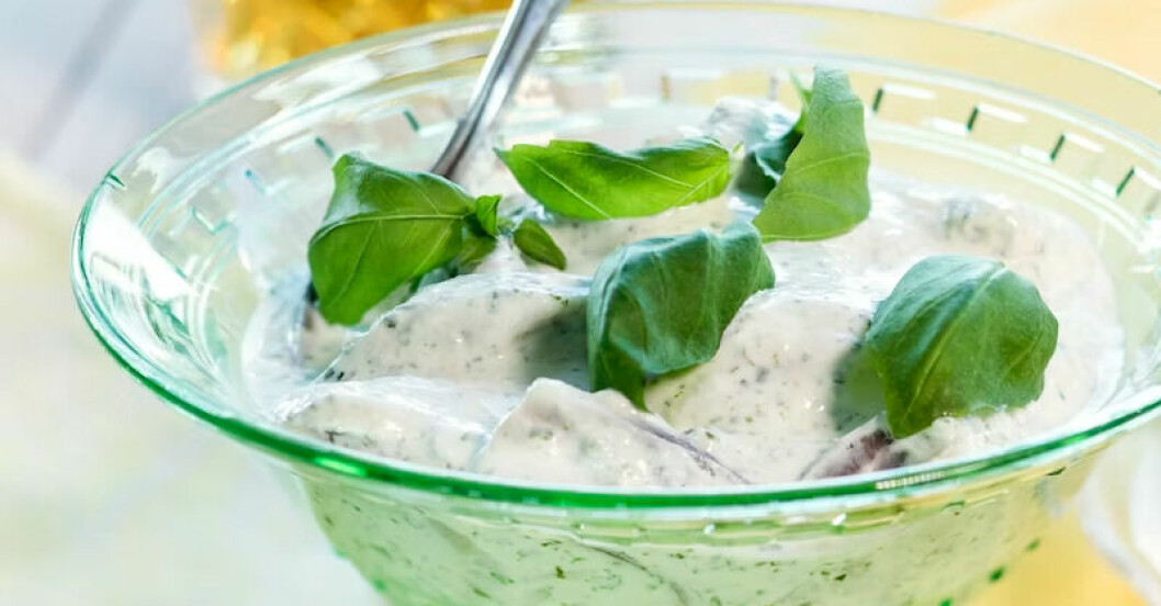 Basilikasill på yoghurt och gräddfil