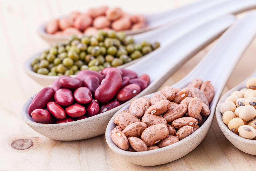 beans-protein-mabra