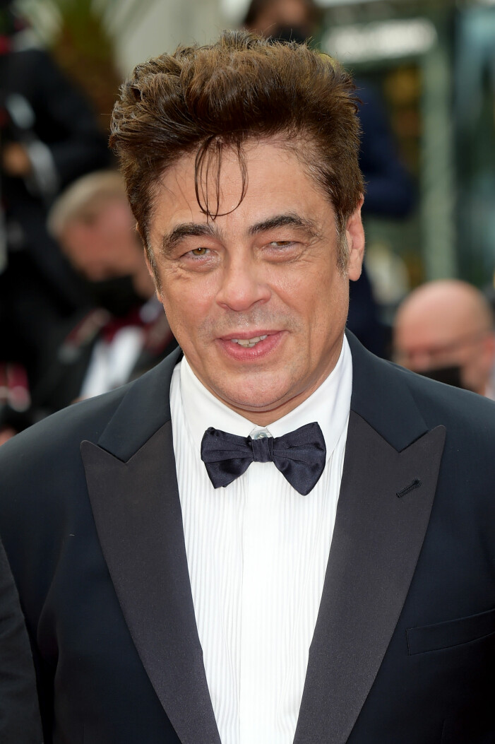 Benicio del Toro