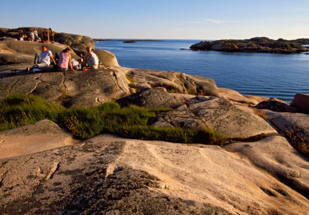 Namnet är belagt sedan länge i Bohuslän som ett smaknamn för Thorleif. Bild: IBL Fjällbacka, Bohuslän