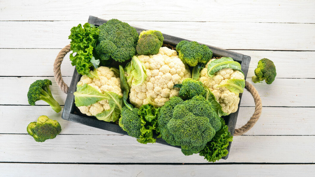 Broccoli äter du bäst rå. Broccoli äter du bäst rå.