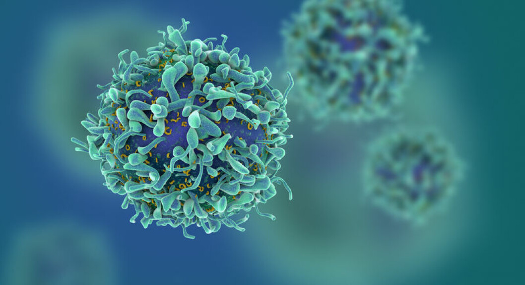 Cancerceller dör med ny metod.