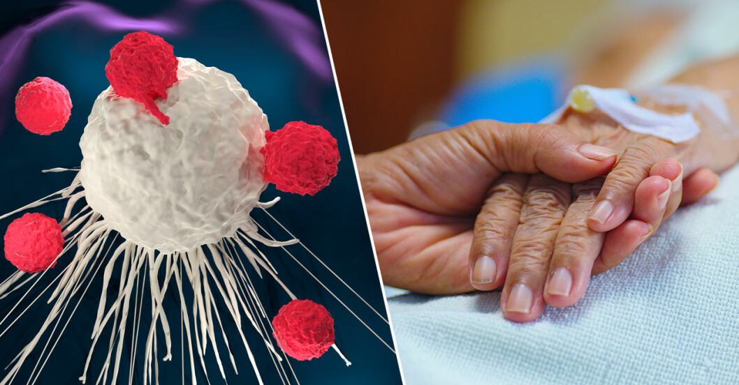 Delad bild: En t-cell angriper en cancercell, någon håller handen på en sjuk människa