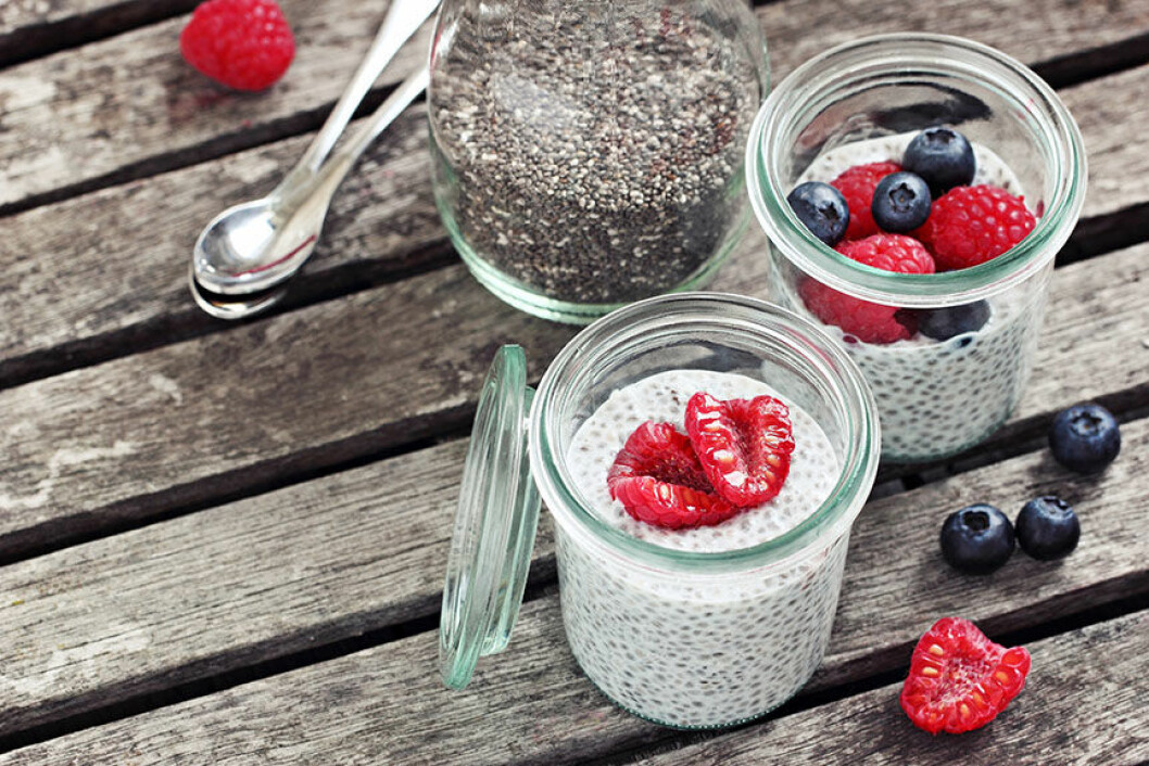 chia-protein-mabra
