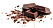 Mörk choklad har visat sig kunna minska risken för stroke.