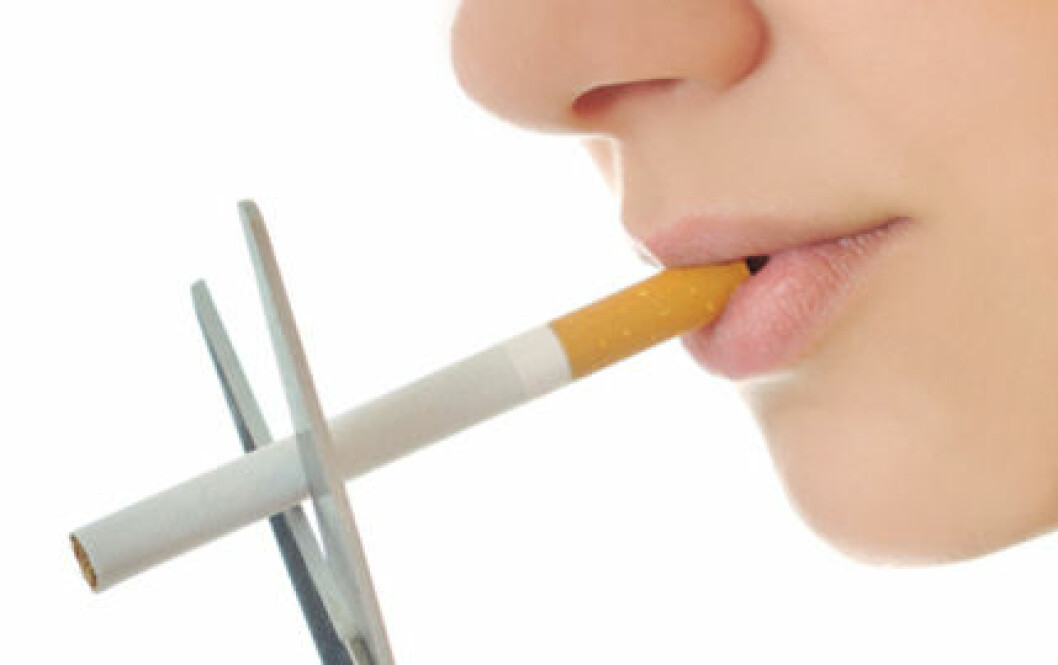 Fimpa cigaretten för gott och fira hälsovinsterna resten av livet! Fimpa cigaretten för gott och fira hälsovinsterna resten av livet!