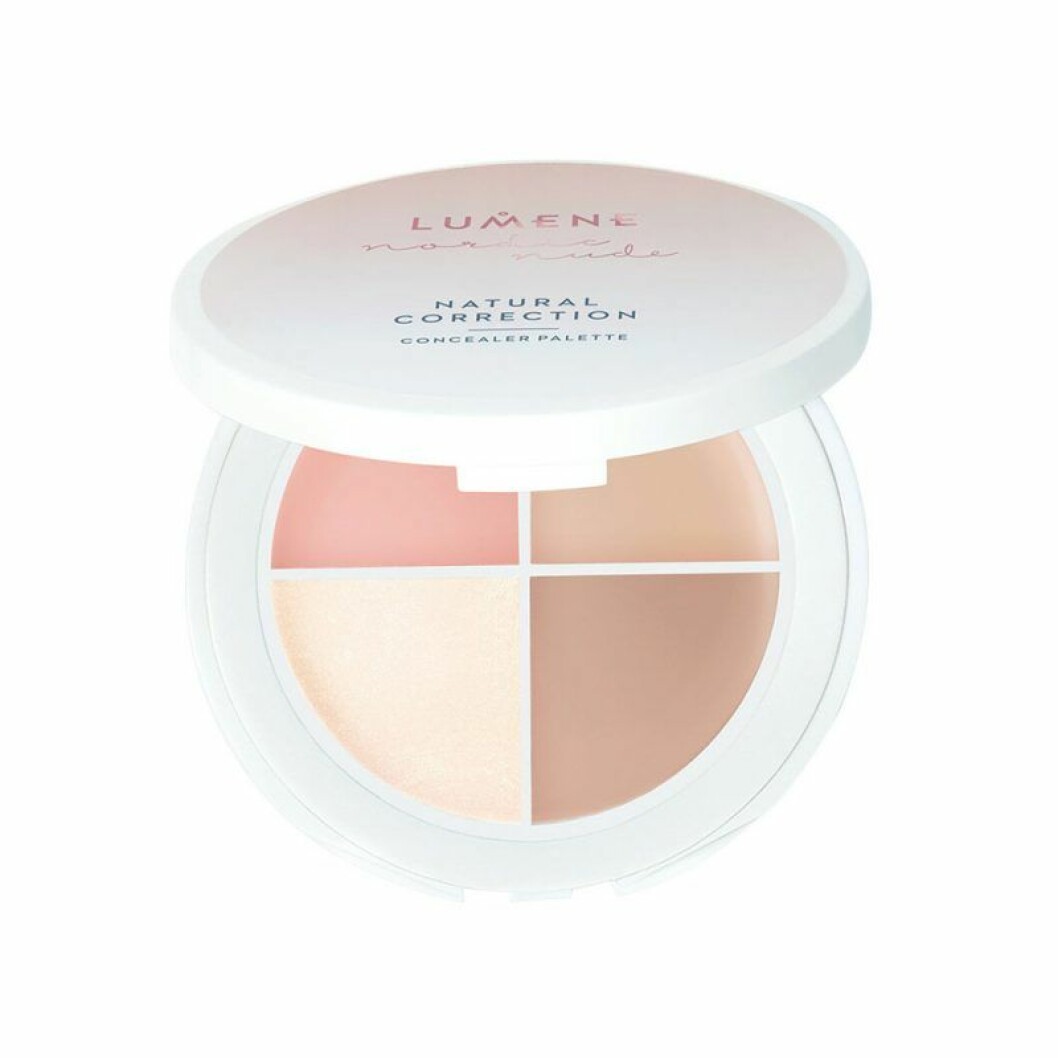 Concealer kit