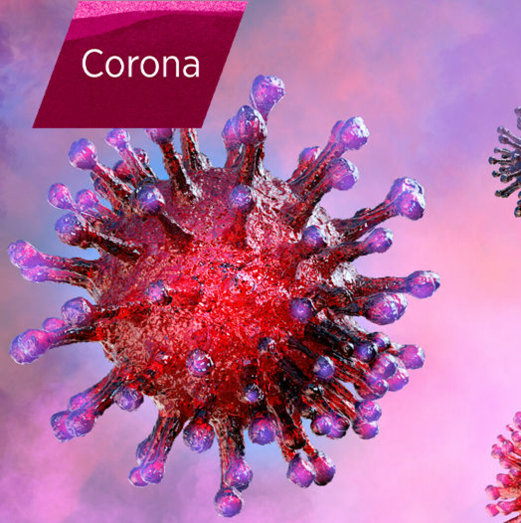 testa dig för corona