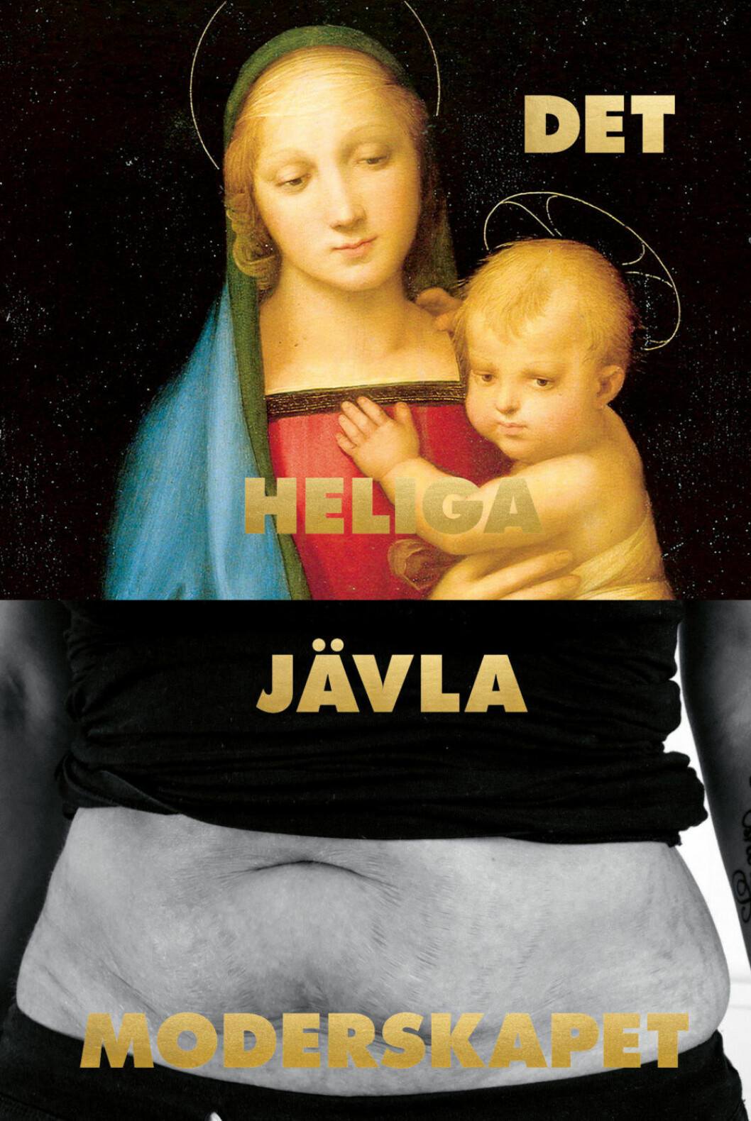 Det heliga jävla moderskapet bok