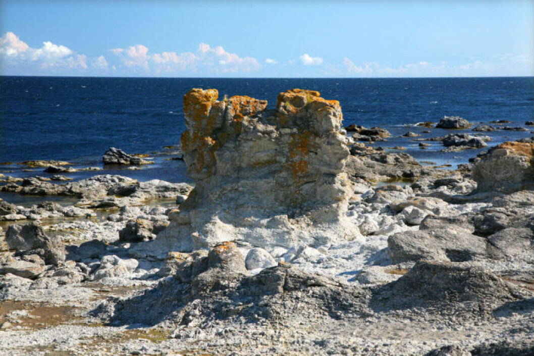 Foto: Johan Bjurer/TT Digerhuvud, Gotland