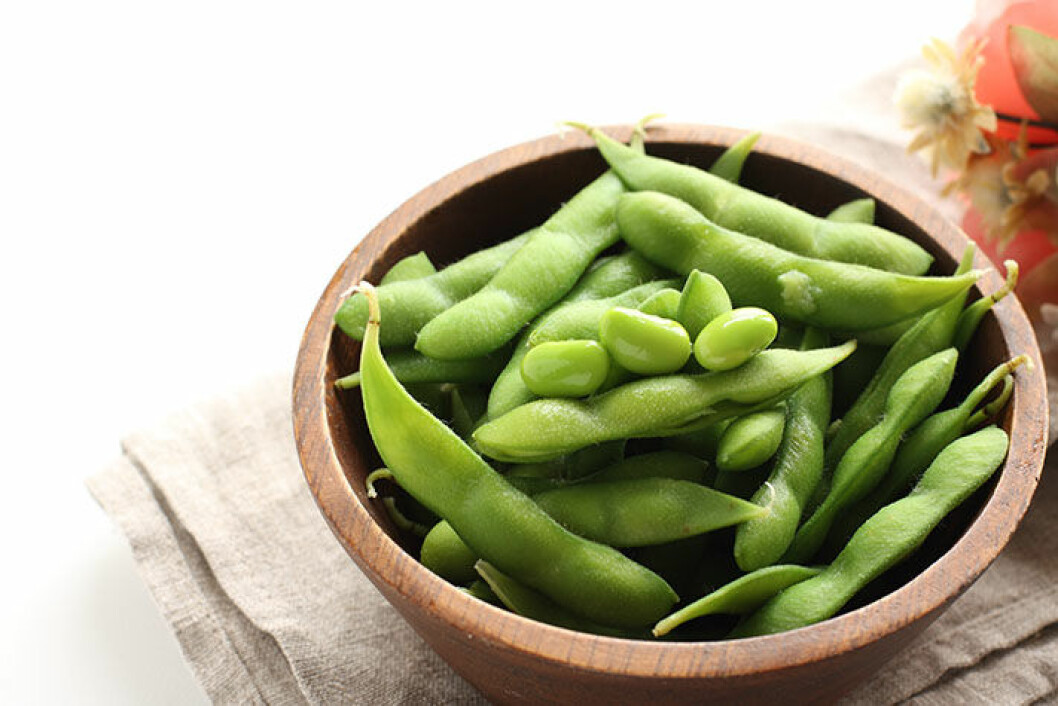 edamame-beans-protein-mabra