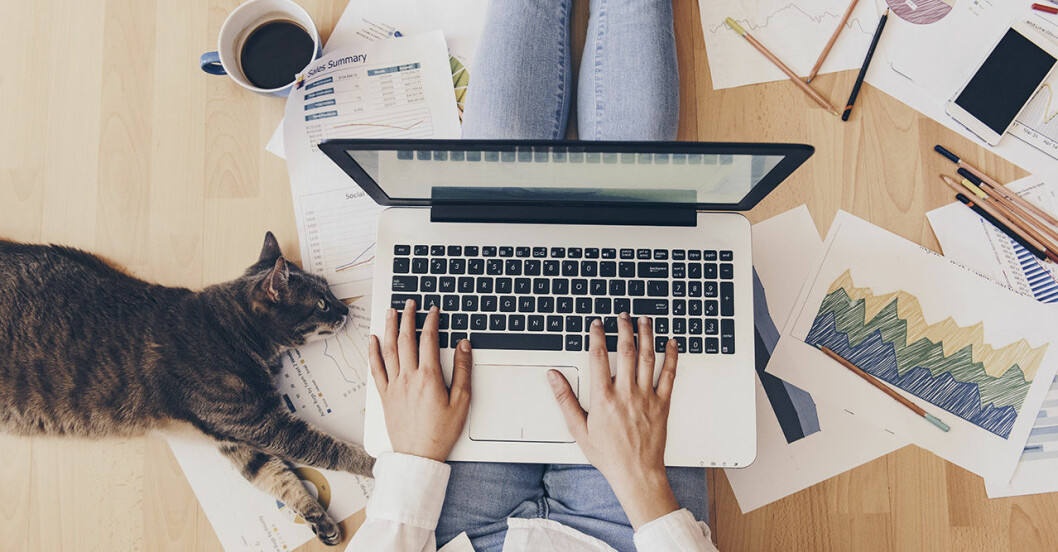 kvinna jobbar hemma med dator och katt.