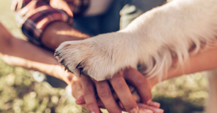 fördelar med att ha hund – för hälsan