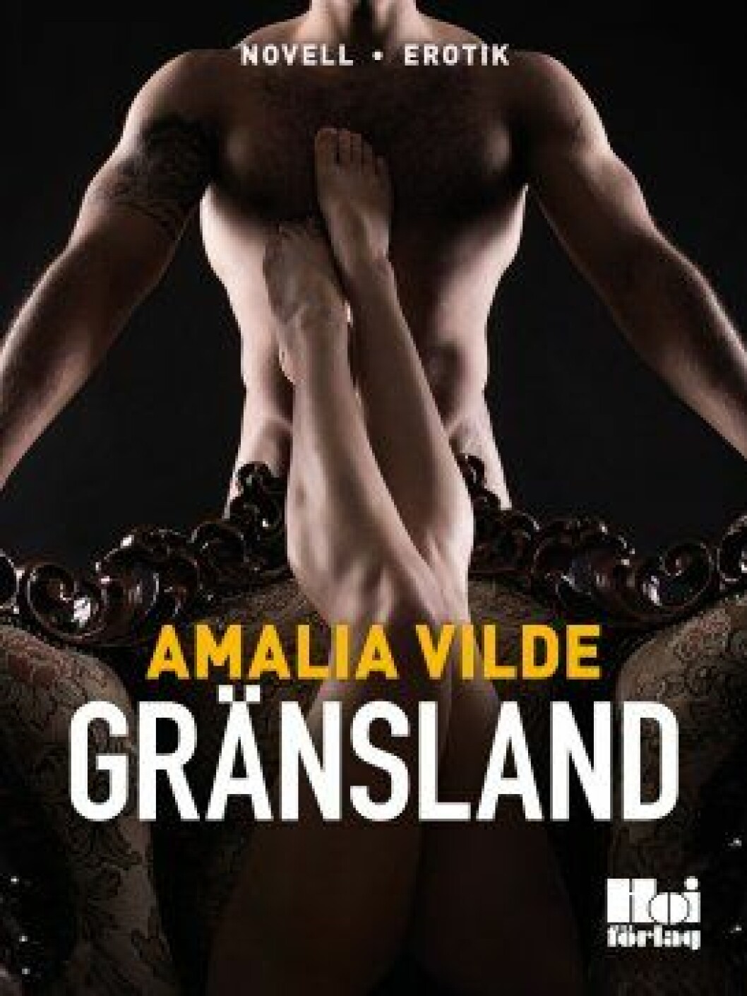 Gränsland dominans erotisk bok