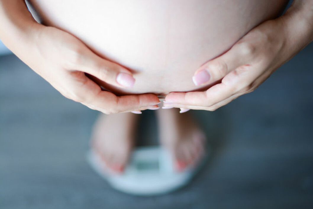 Gravid och överviktig?