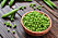 green-peas-protein-mabra