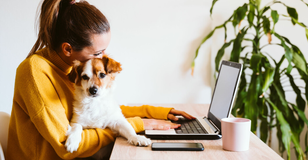 fördelar med att ha hund – för hälsan