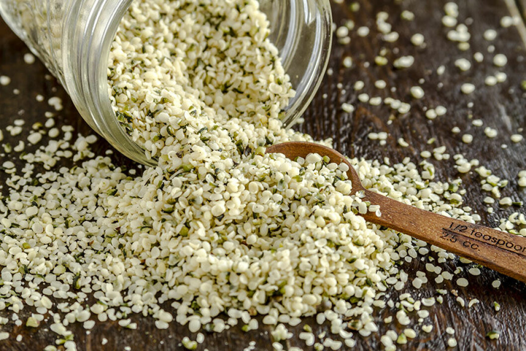 hampa-seeds-protein-mabra