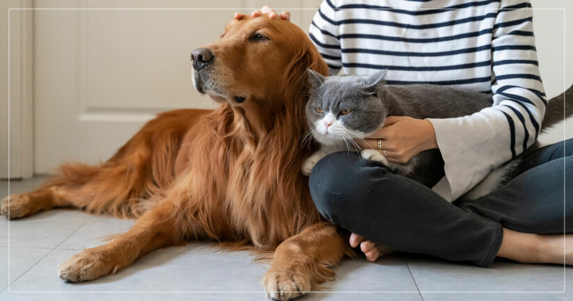 Ägare med sin hund och katt