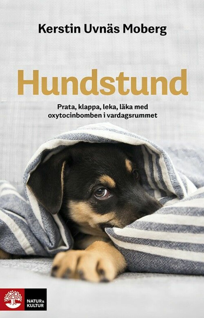 hundstund bok