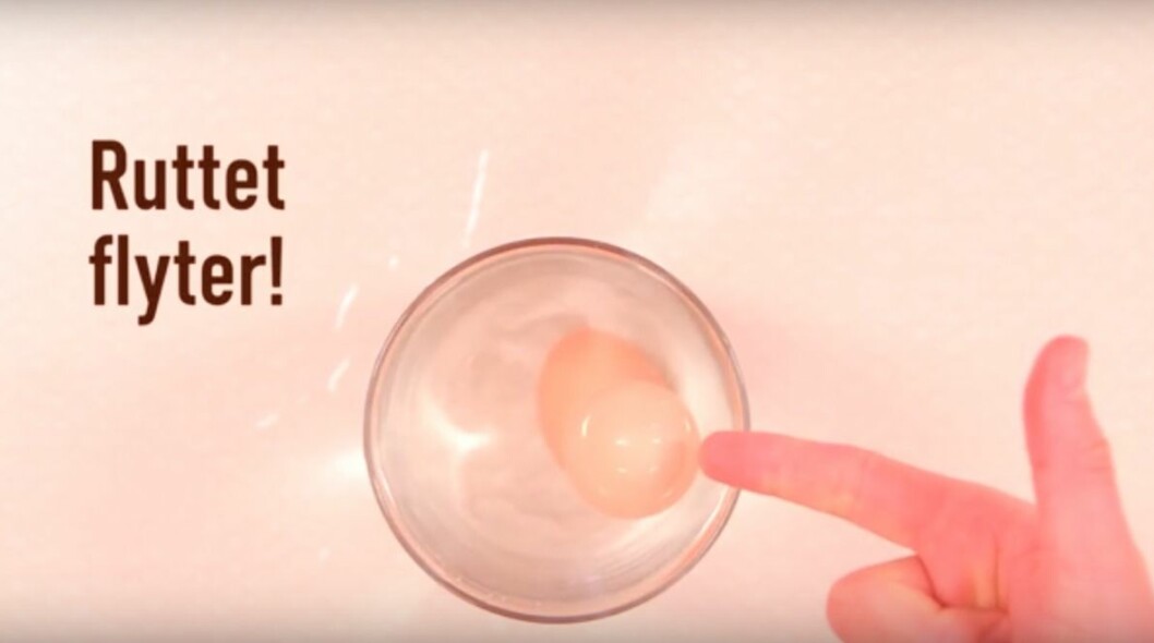 bästföre ägg