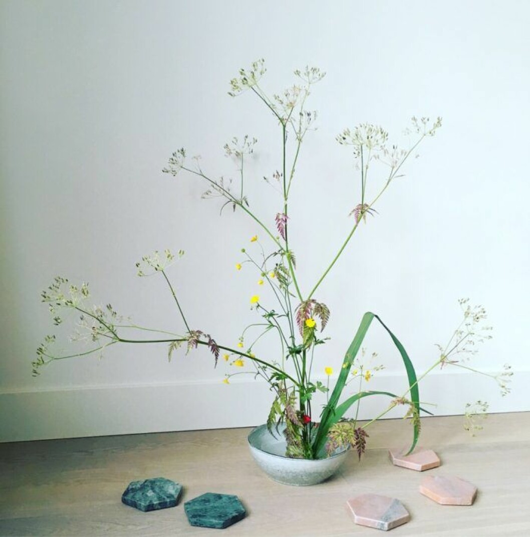 En blomma som Youco Harada hittade i skogen har fått nytt liv i ett ikebana-arrangemang. Foto:<a href="https://www.instagram.com/smaltost/?hl=sv" target="_blank" rel="noopener"> Youco Harada</a> Ikebana-arrangemang av Youco Harada