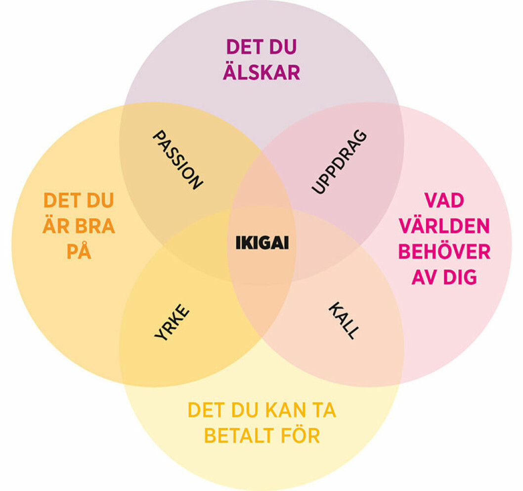 Ikigai modell