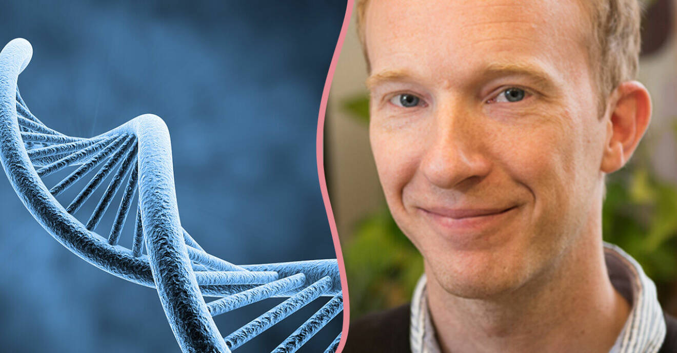 Delad bild på DNA-sträng, samt genetikern Magnus Lundgren